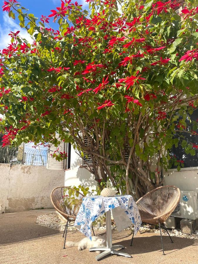 Villa Sa Torre Ίμπιζα Πόλη Εξωτερικό φωτογραφία