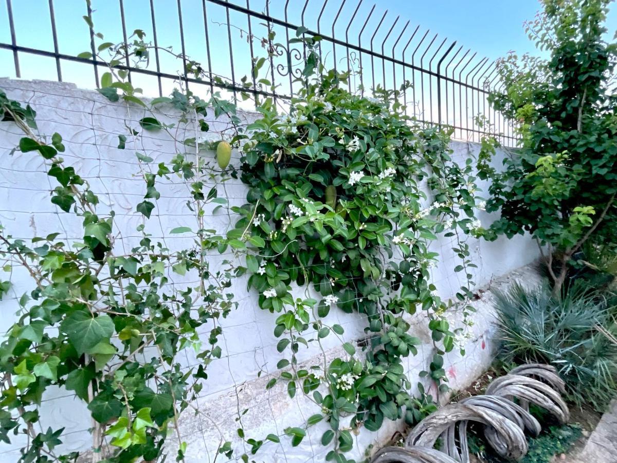 Villa Sa Torre Ίμπιζα Πόλη Εξωτερικό φωτογραφία